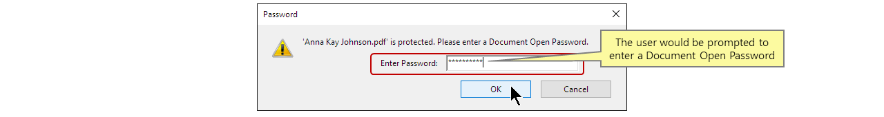 Enter a Document Open Password